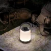 Paulmann Mobile bordlampe Clutch krom Discount