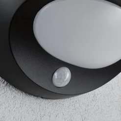 Paulmann utendørs LED-vegglampe Sorova, sensor, antrasitt| Solcellelamper Med Sensor|Vegglamper Med Sensor