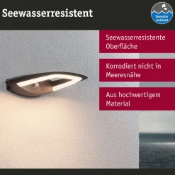 Paulmann utendørs LED-vegglampe Akena, 3 000 K, antrasitt Online