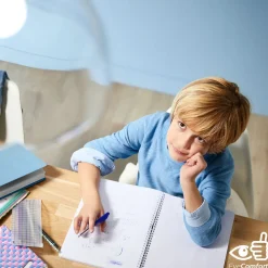 Philips Giant Globe røykfylt LED-pære E27 6,5W Outlet