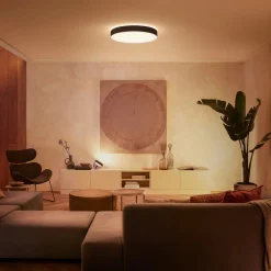 Philips Hue Enrave LED-taklampe 55,1 cm, svart