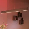 Philips Hue Ensis LED-hengelampe, RGBW Outlet