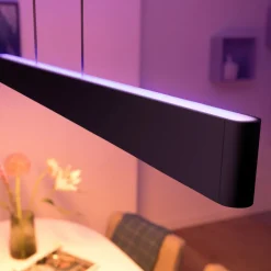 Philips Hue Ensis pendellampe, WACA, svart Online