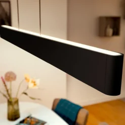 Philips Hue Ensis pendellampe, WACA, svart Online