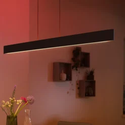 Philips Hue Ensis pendellampe, WACA, svart Online