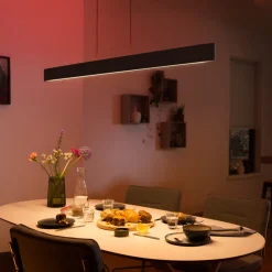 Philips Hue Ensis pendellampe, WACA, svart Online