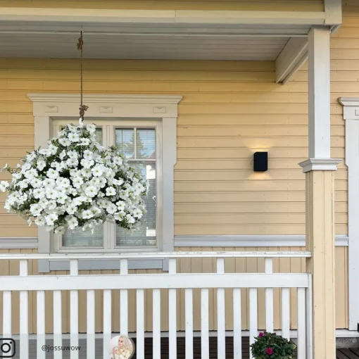 Philips Hue Resonate WACA Up- & downlight svart| Smarthus Utebelysning|Led-Utendørs