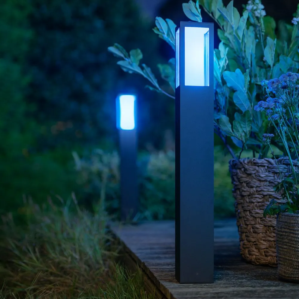 Philips Hue White+Color Impress LED-veilampe Sale