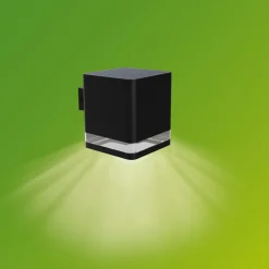 Philips utendørs LED-vegglampe Virona, svart, IP44