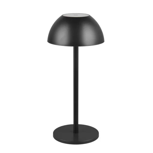 Reality Leuchten Ricardo LED oppladbar bordlampe, svart, høyde 30 cm, plast Sale