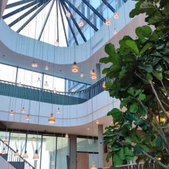 SEGULA LED-globe flytende G200 E27 6W twist røyk| Andre Pærer|Dimbar Led-Pære