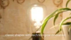 SEGULA LED-pære E27 6,5 W, filament dimbar| Dimbar Led-Pære|Dimbar Led-Pære