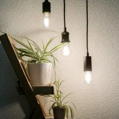 SEGULA LED-pære E27 8W rør 2 700 K klar dimbar| Dimbar Led-Pære|Dimbar Led-Pære