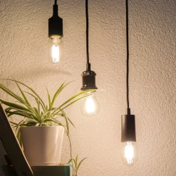 SEGULA LED-pære E27 8W rør 2 700 K klar dimbar| Dimbar Led-Pære|Dimbar Led-Pære