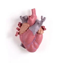 SELETTI Love in Bloom-vase, fargerik, høyde 25 cm, porselen Online