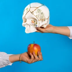 SELETTI Skulptur Kintsugi Skull, hvit, porselen, gull Online