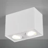 Trio Lighting Taklampe Biscuit, 2 lyskilder, hvit| Spotter I Tak