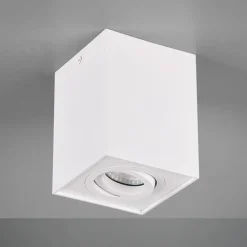 Trio Lighting Taklampe Biscuit, 1 lyskilde, hvit