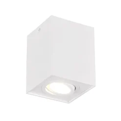 Trio Lighting Taklampe Biscuit, 1 lyskilde, hvit