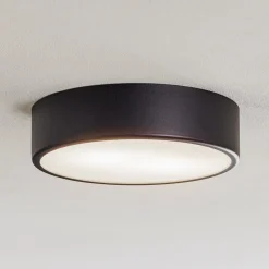 TEMAR LIGHTING Taklampe Cleo, Ø 30 cm, IP20, svart, metall, E27 Online