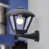 Fumagalli Utendørs vegglampe Nardo/Dario svart, klart deksel E27 CCT