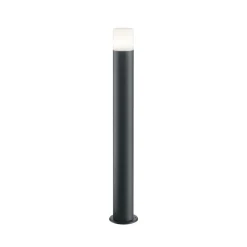 Trio Lighting Veilampe Hoosic av trykkstøpt aluminium, antrasitt Clearance