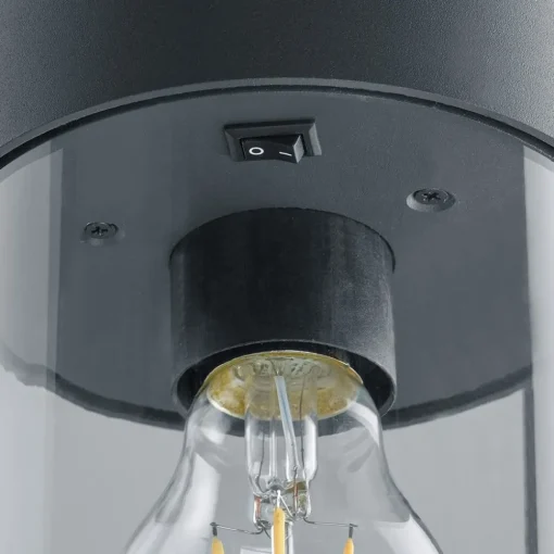 Trio Lighting Veilampe Sambesi med skumringssensor 60 cm| Gatebelysning, Pullert Belysning