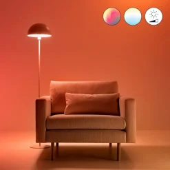 WiZ A67 LED-pære Wi-Fi E27 13W matt RGB Online