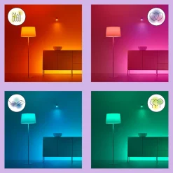 WiZ A67 LED-pære Wi-Fi E27 13W matt RGB Online