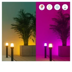 WiZ Elpas LED-gatelampe svart RGBW forlengelse