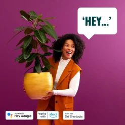 WiZ Imageo LED-spot med 3 lys 2 700-6 500 K, sort